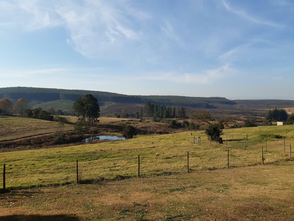 The Old Mushroom Farm Howick Luaran gambar